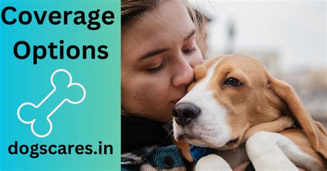 Pet insurance reddit. Things To Know About Pet insurance reddit. 
